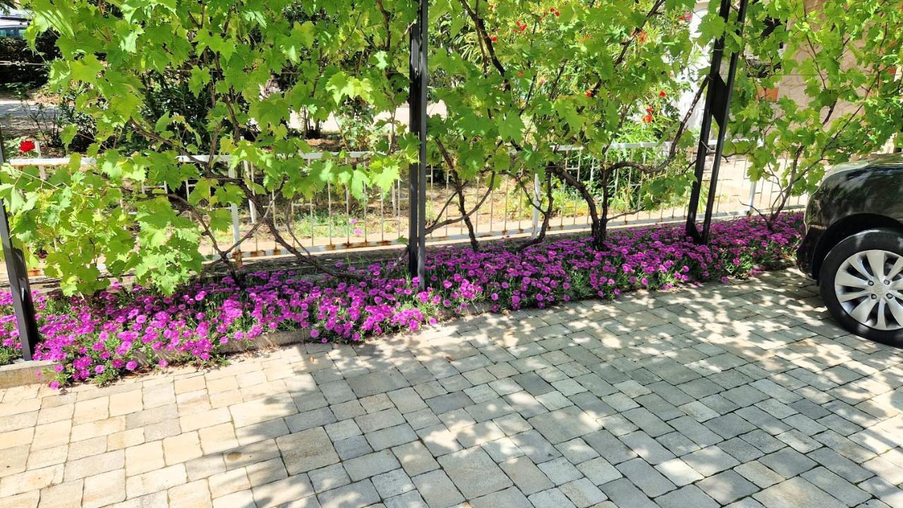 Apartment Pipo Кърк Екстериор снимка